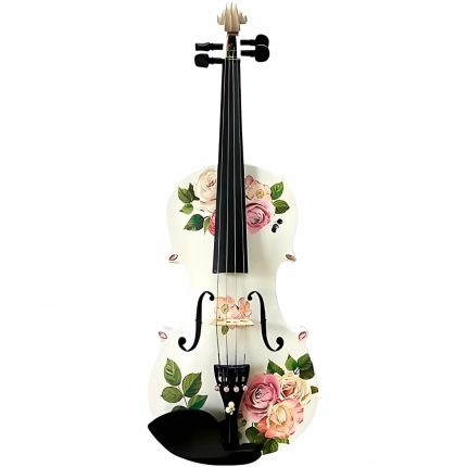 Elemza Rose Delight Violin Outfit with Carbon Bow